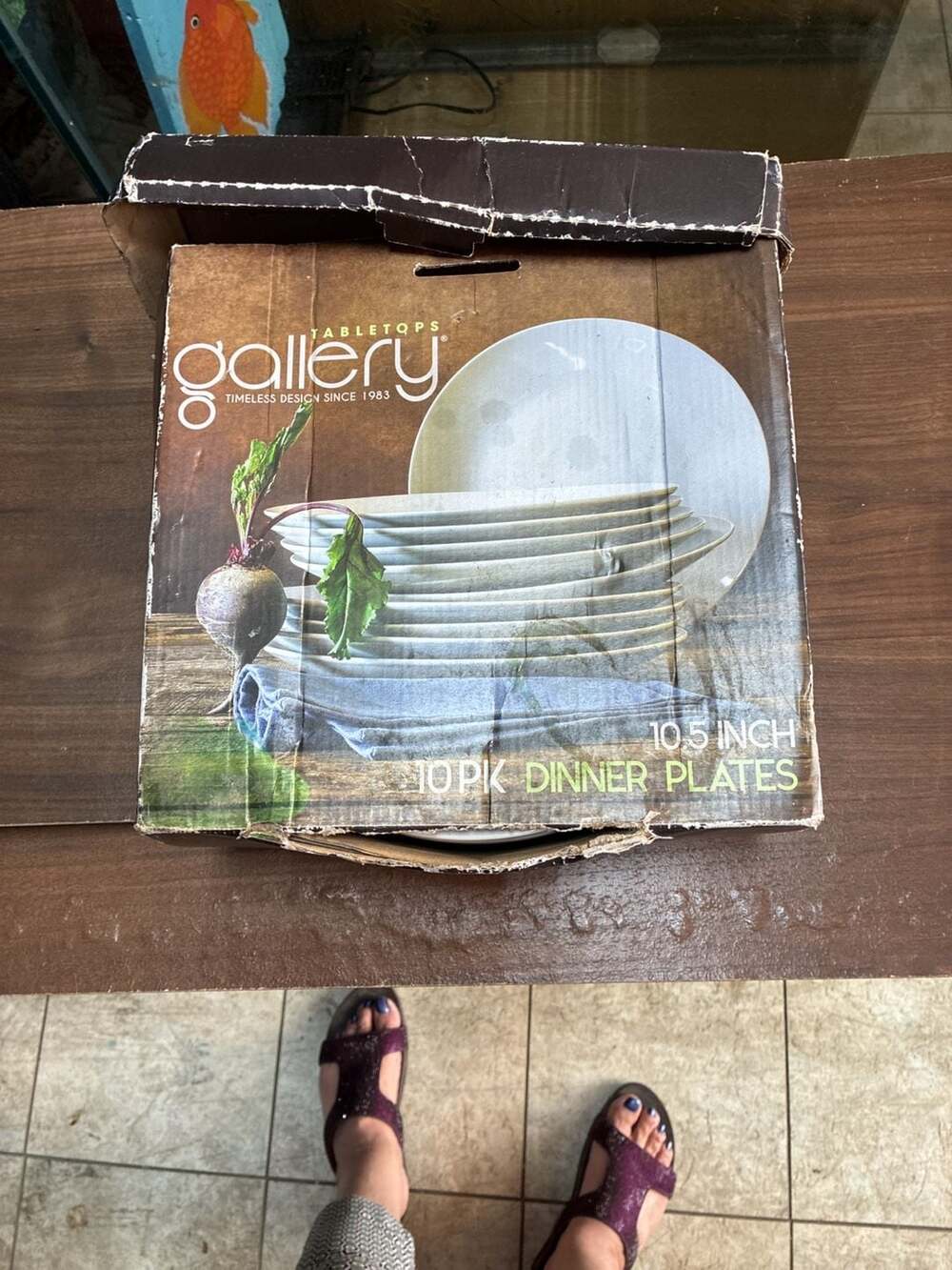 Tabletops Gallery 10 Pack 10.5 Inch White Stoneware Dinner Plates damaged box